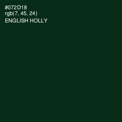 #072D18 - English Holly Color Image